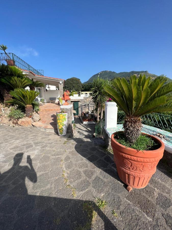 Blu Panorama Bed and Breakfast Forio di Ischia Εξωτερικό φωτογραφία