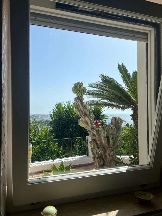 Blu Panorama Bed and Breakfast Forio di Ischia Εξωτερικό φωτογραφία