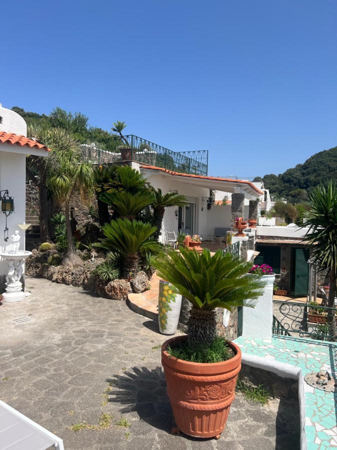 Blu Panorama Bed and Breakfast Forio di Ischia Εξωτερικό φωτογραφία