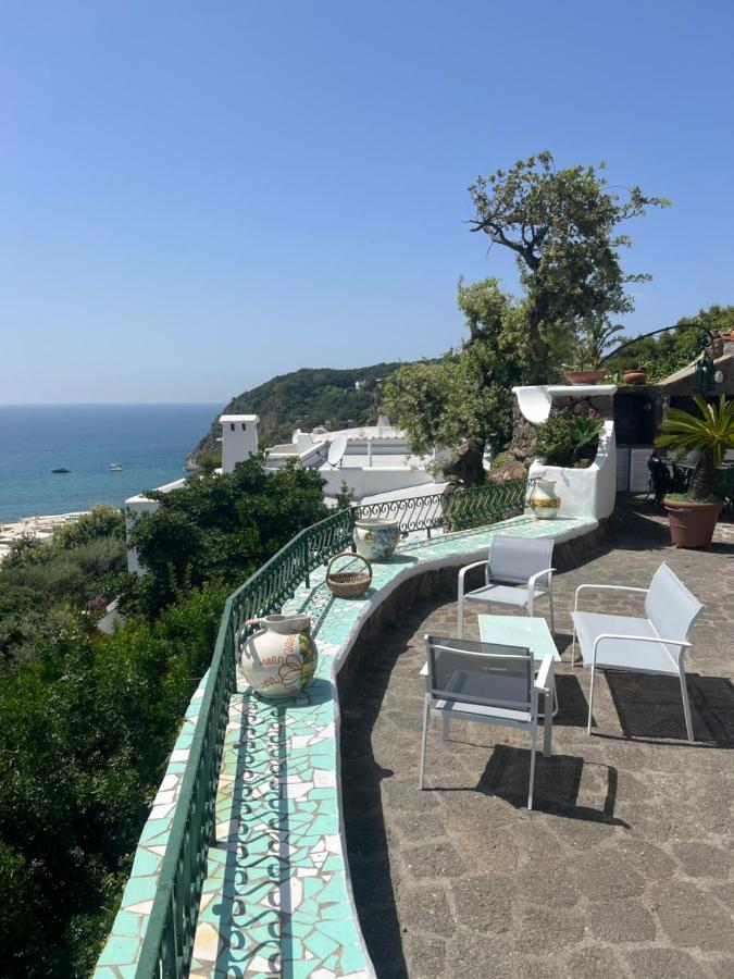Blu Panorama Bed and Breakfast Forio di Ischia Εξωτερικό φωτογραφία